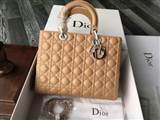 bag-dior AAA-83