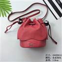 bag-coach AAA-18