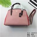 bag-coach AAA-20