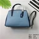 bag-coach AAA-22