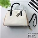 bag-coach AAA-23