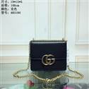 bag-gucci AAA-1606