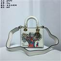 bag-dior AAA-533