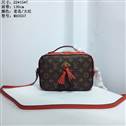 bag-lv AAA-2026