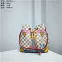 bag-lv AAA-2035