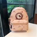 bag-coach AAA-56