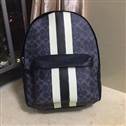 bag-coach AAA-58