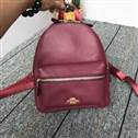 bag-coach AAA-63