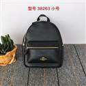 bag-coach AAA-64