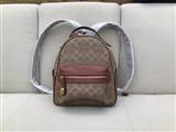 bag-coach AAA-65