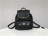 bag-coach AAA-66