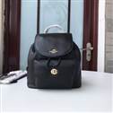 bag-coach AAA-70