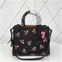 bag-coach AAA-72