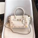 bag-coach AAA-95