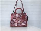 bag-coach AAA-109