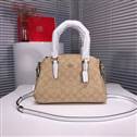 bag-coach AAA-145