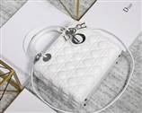 bag-dior AAA-613