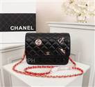 bag-chanel AAA-1448