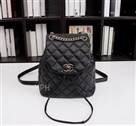 bag-chanel AAA-1499