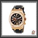 watch-audemars piguet-118