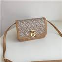 bag-burberry AAA-582