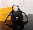 bag-lv AAA-3391