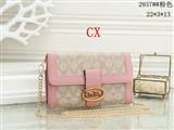 bag-coach-2