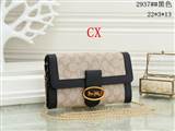 bag-coach-3