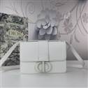 bag-dior AAA-851