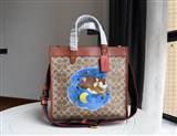 bag-coach AAA-256