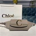 bag-chloe AAA-263