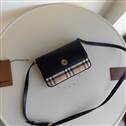 bag-burberry AAA-717