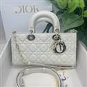 bag-dior AAA-1054