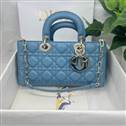 bag-dior AAA-1056