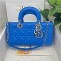 bag-dior AAA-1058