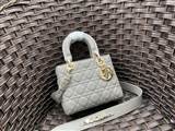 bag-dior AAA-1093