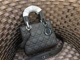 bag-dior AAA-1099