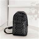 bag-coach AAA-381