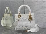 bag-dior AAA-1131