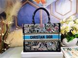 bag-dior AAA-1137