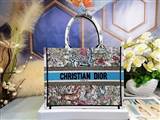 bag-dior AAA-1138