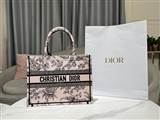 bag-dior AAA-1145