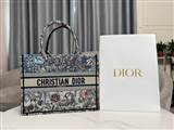 bag-dior AAA-1146