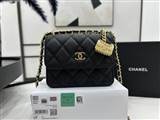 bag-chanel AAA-2856