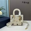 bag-dior AAA-1341