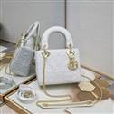 bag-dior AAA-1344