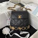 bag-chanel AAA-3131