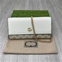 bag-gucci AAA-3816