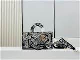 bag-dior AAA-1502