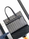 bag-dior AAA-1573